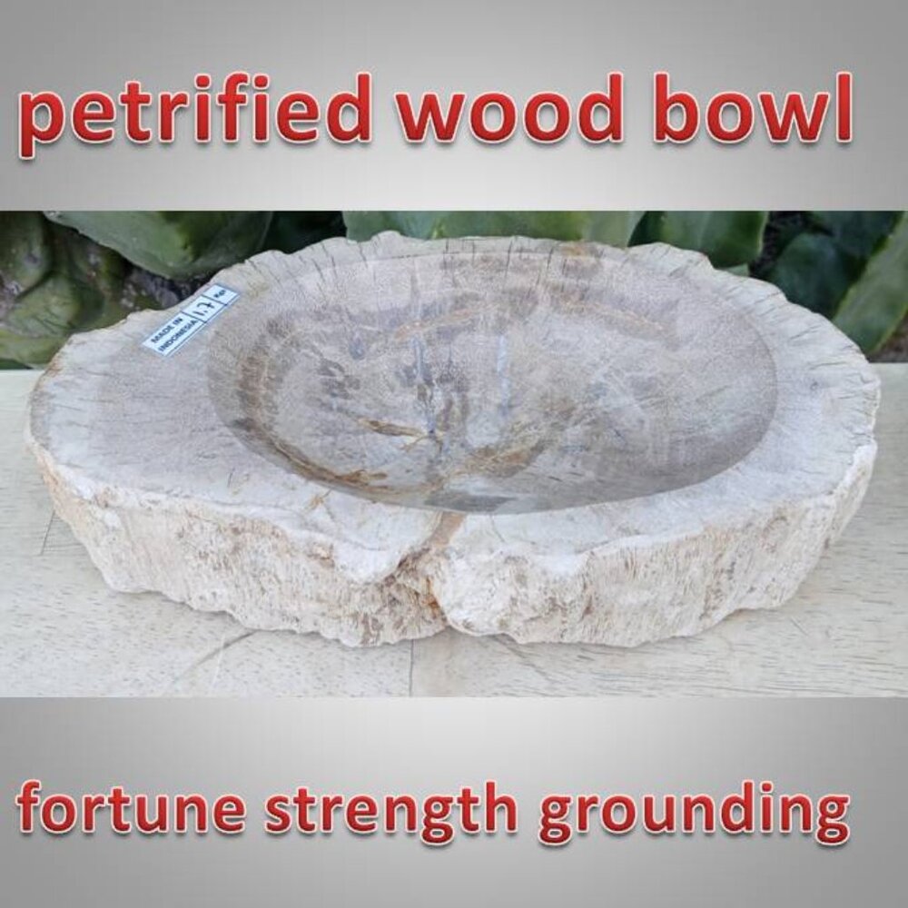 heavy petrified wood bowl 03 stone fossil rock crystal